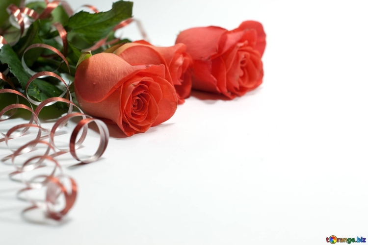 Ольга Владимировна с днём рождения поздравления