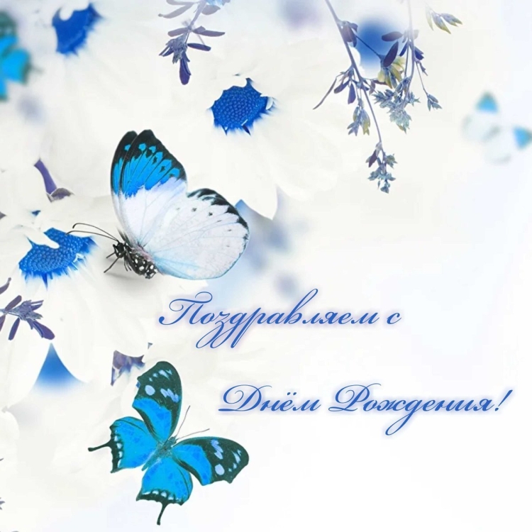 С днём рождения Елена Владимировна красивые