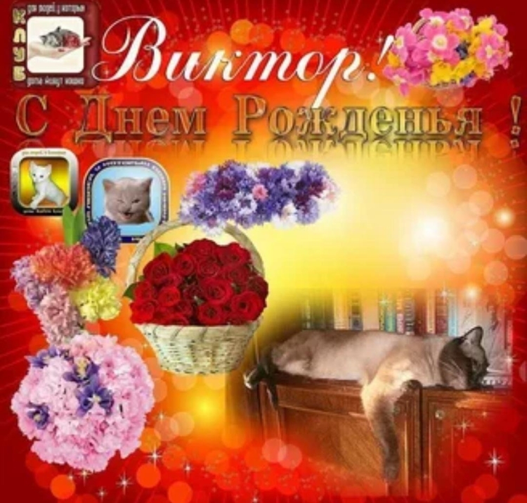 С днеммрождения Виктор