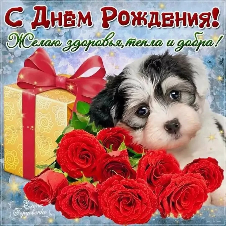 Поздравления с днём рождения Катя