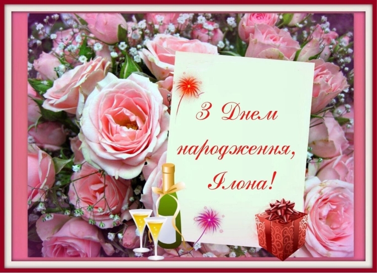 С днём рождения галочка