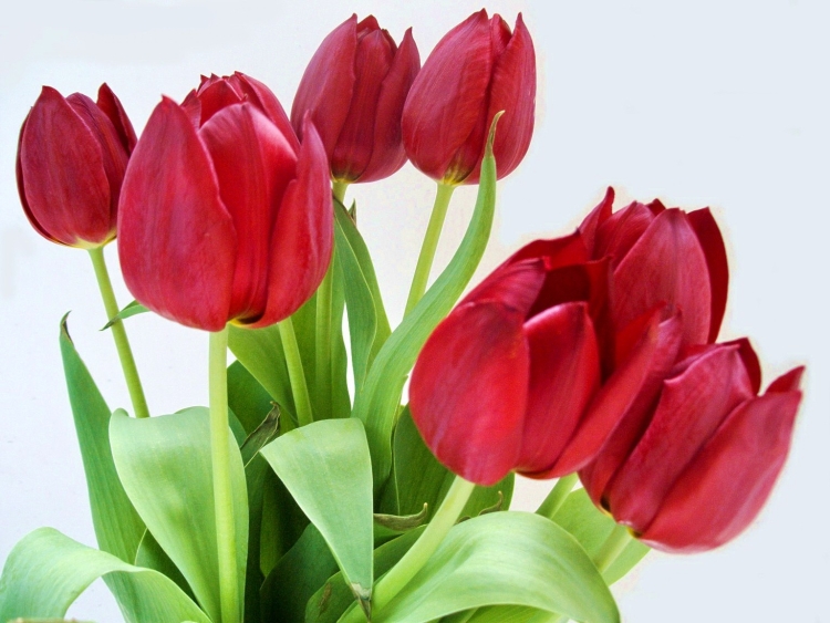 Поздравить Инну с днем рождения