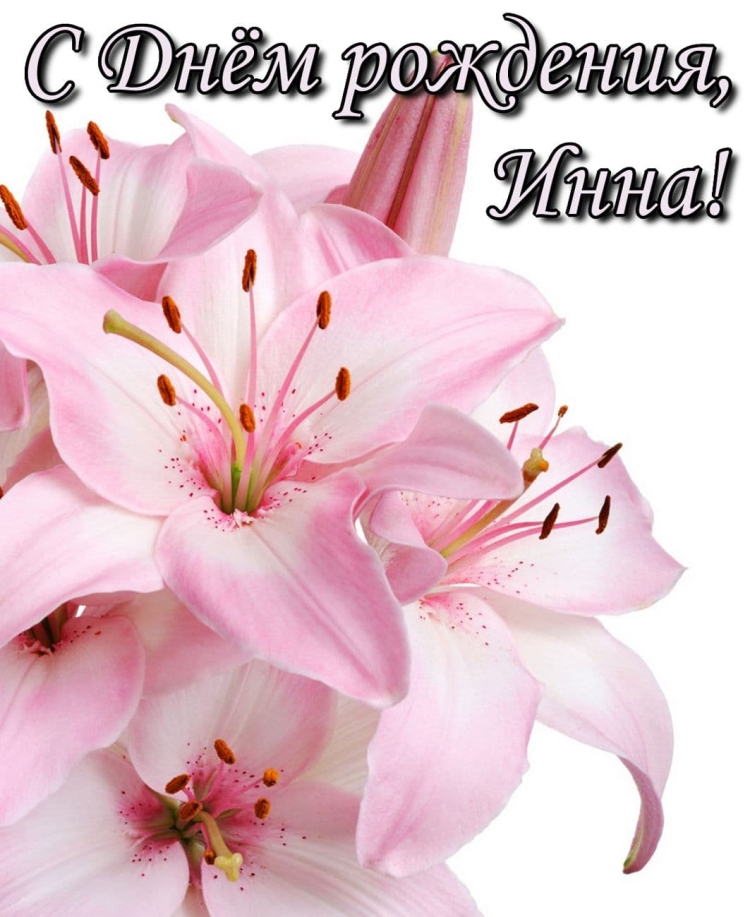 Нежно розовые лилии