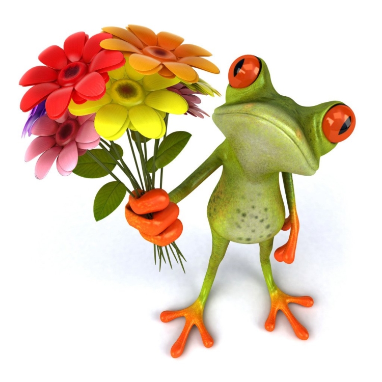 Веселые цветы