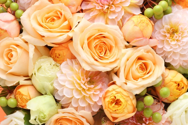 С днём рождения Жанночка красивые поздравления