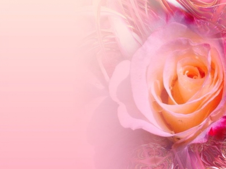 Поздравления с днём рождения Оле красивые в стихах