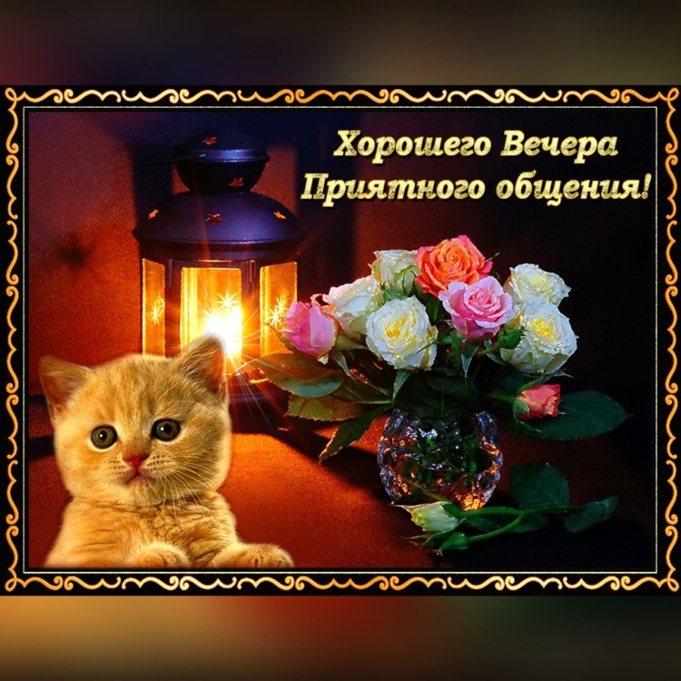 Приятного вечера