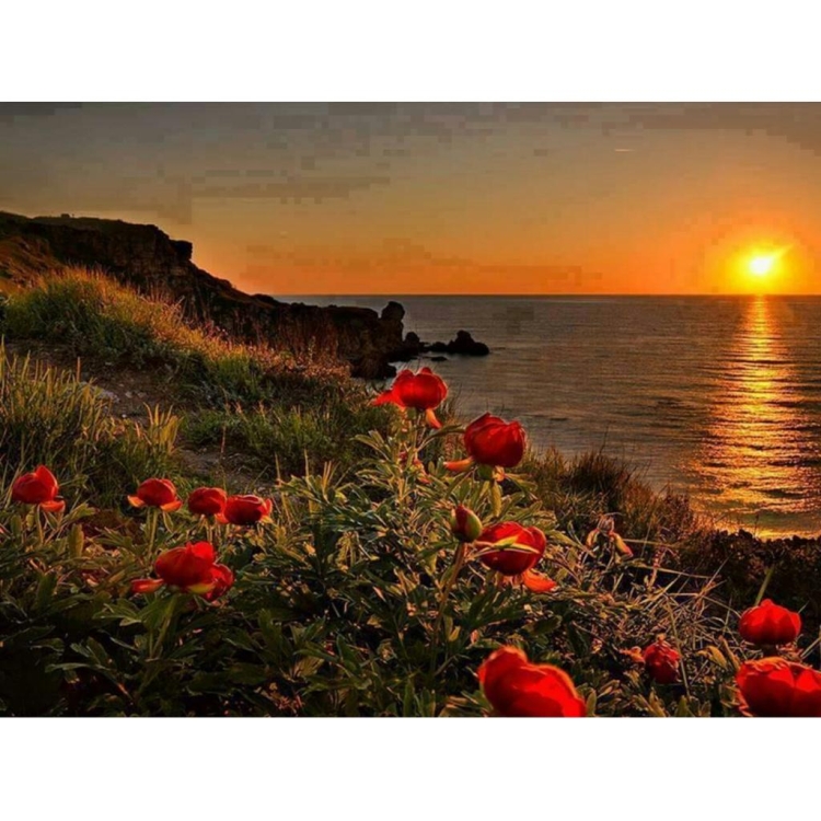 Спокойной летней ночи