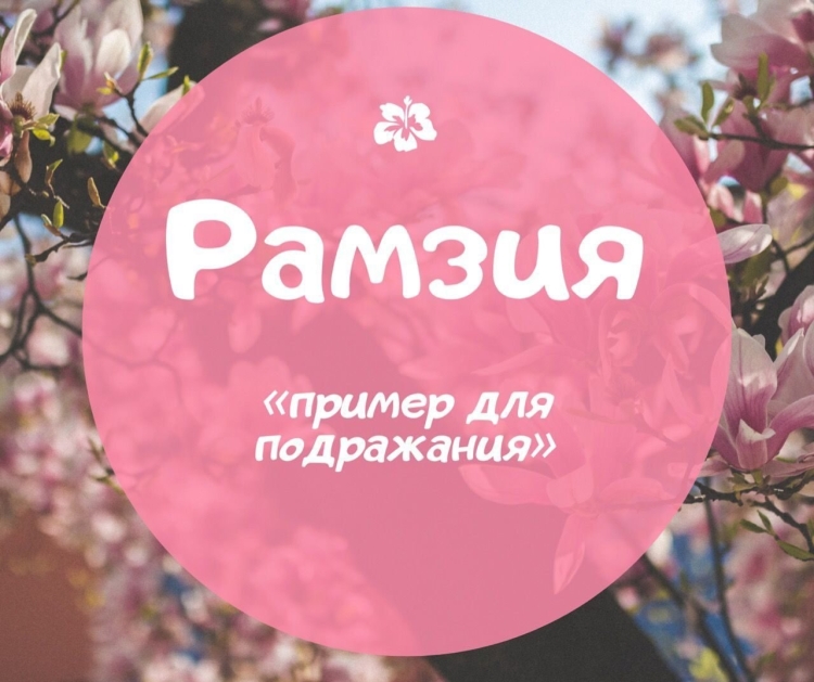 Рамзия с днем рождения