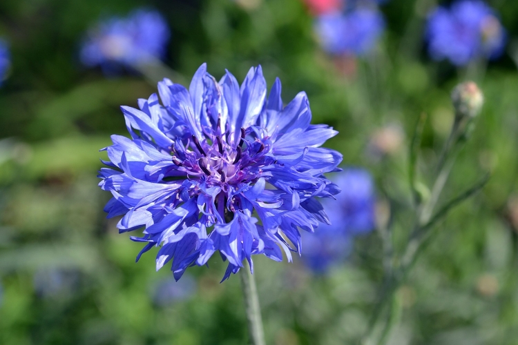 Поздравления с днём рождения Василия