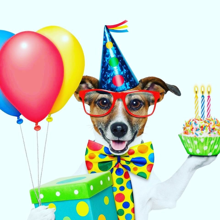 С днём рождения Димочка