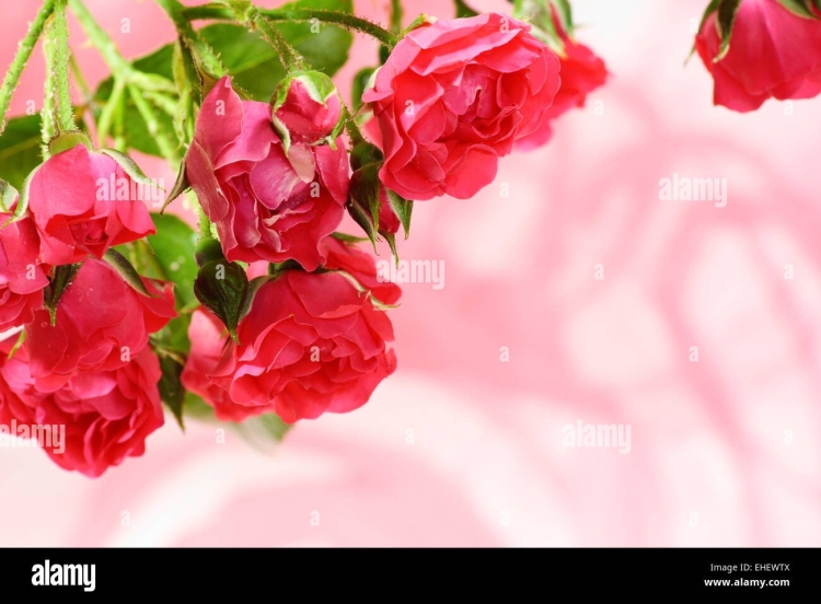 С днём рождения Валюша открытки