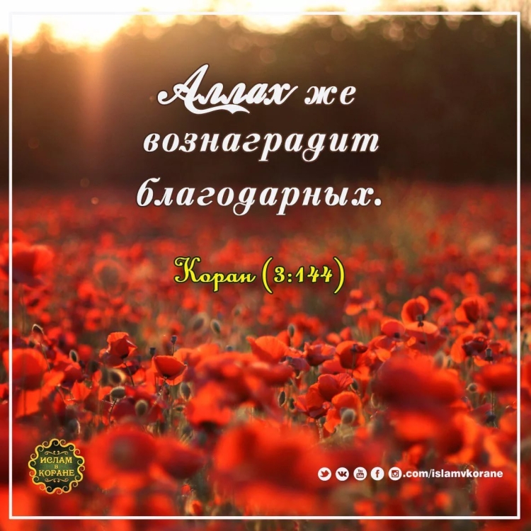 Счастье в Исламе