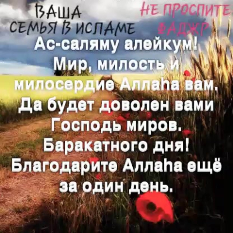 Баракатного пятничного дня