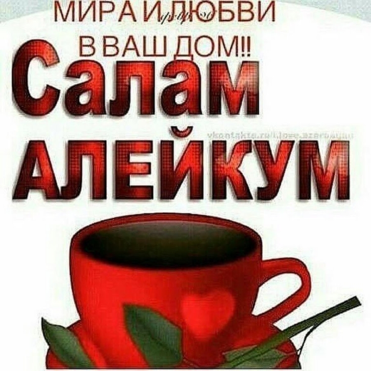 Всем Салам алейкум