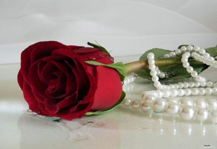 С днём рождения Тамара красивые поздравления