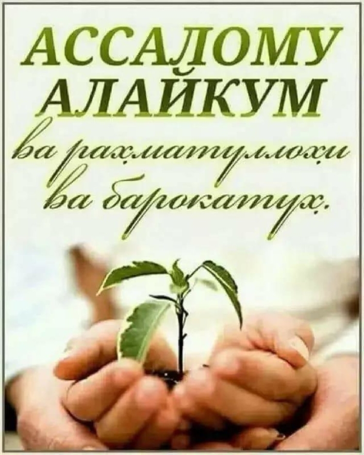 Ассаламу алейкум картина