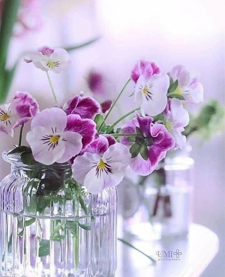 Доброго дня и прекрасного