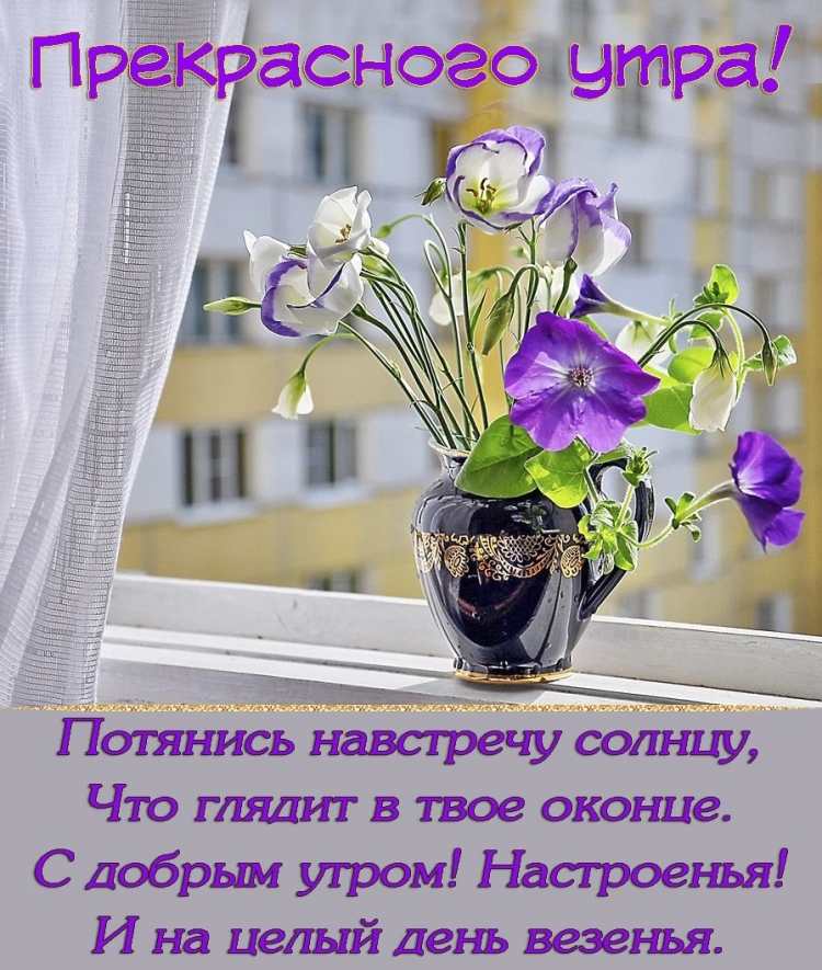 Доброго весеннего воскресного утра и хорошего дня