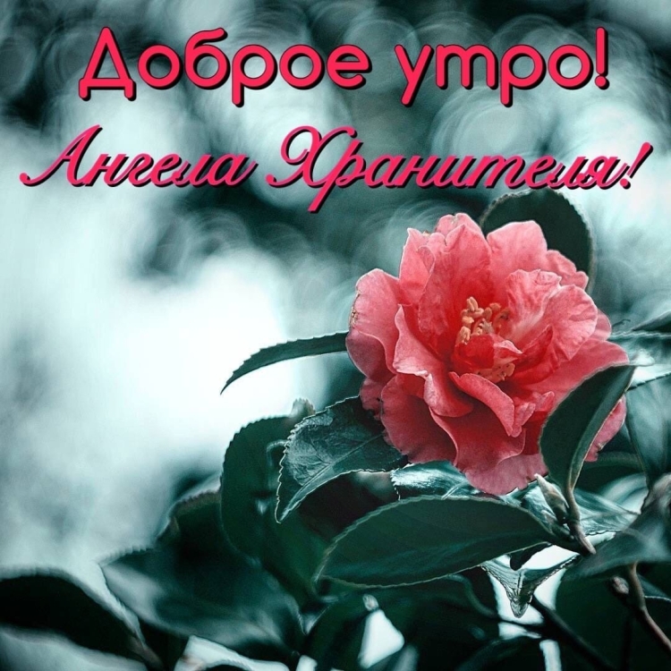 Благословенного дня и хорошего настроения