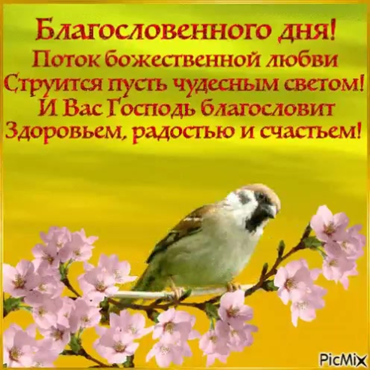 Поздравления с благословенным днем