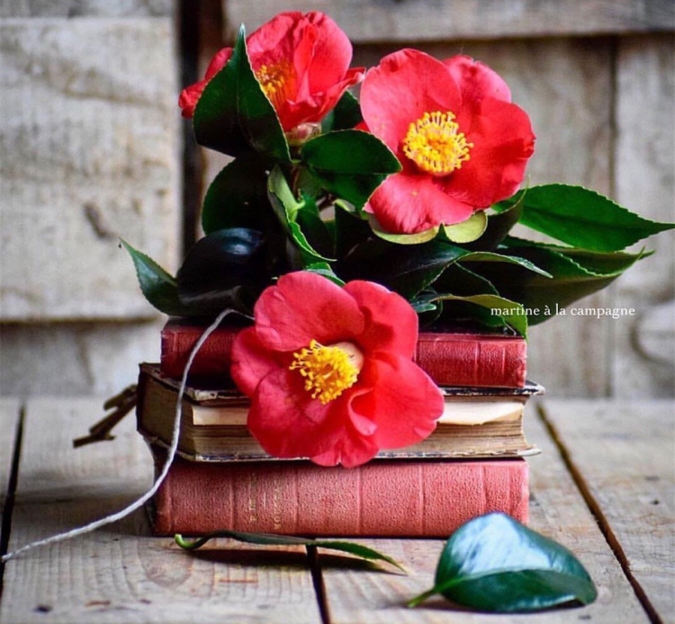 Доброе утро благословенного дня