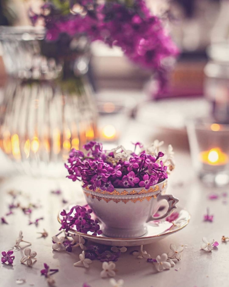 Живите бережно копите радости улыбки нежности душевность слов