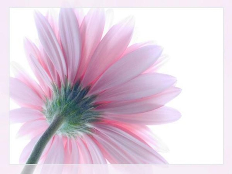 Поздравительные открытки для Аллы