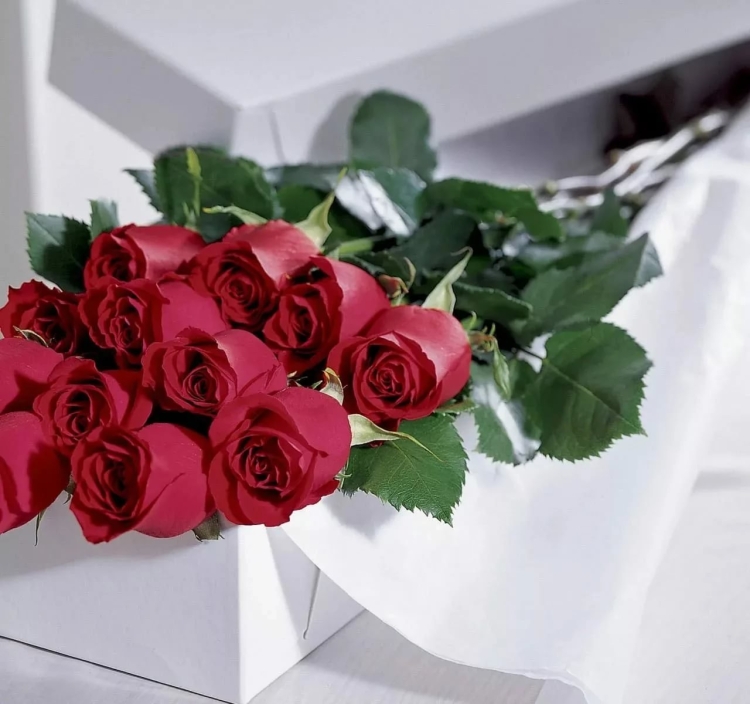 Открытка с днем рождения женщине шикарные