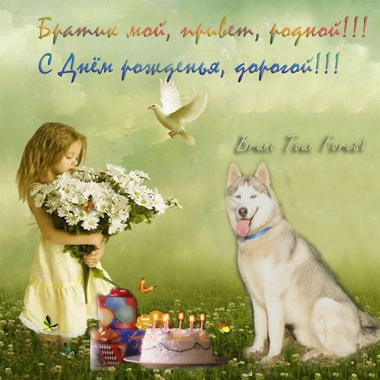 С днёмрождения брат от сестры