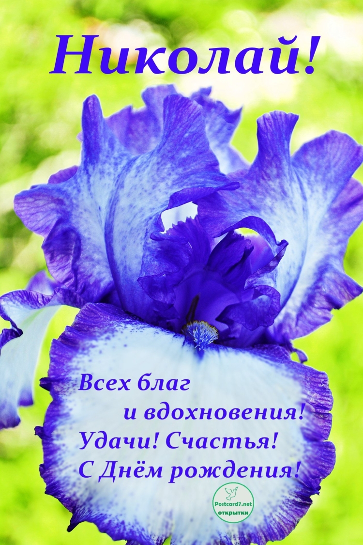 С днём рождения нрколай