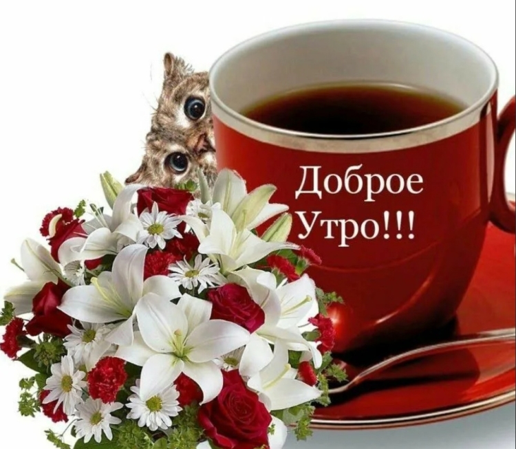 Открытки с добрым утром