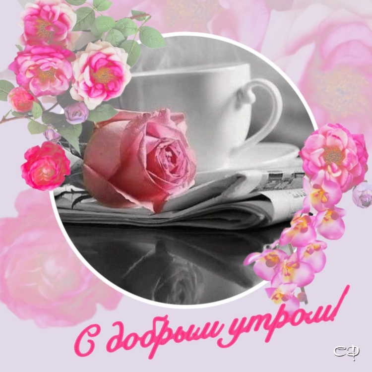 Открытка с добрым утром, Тамара