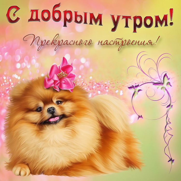 Поздравление с добрым утром