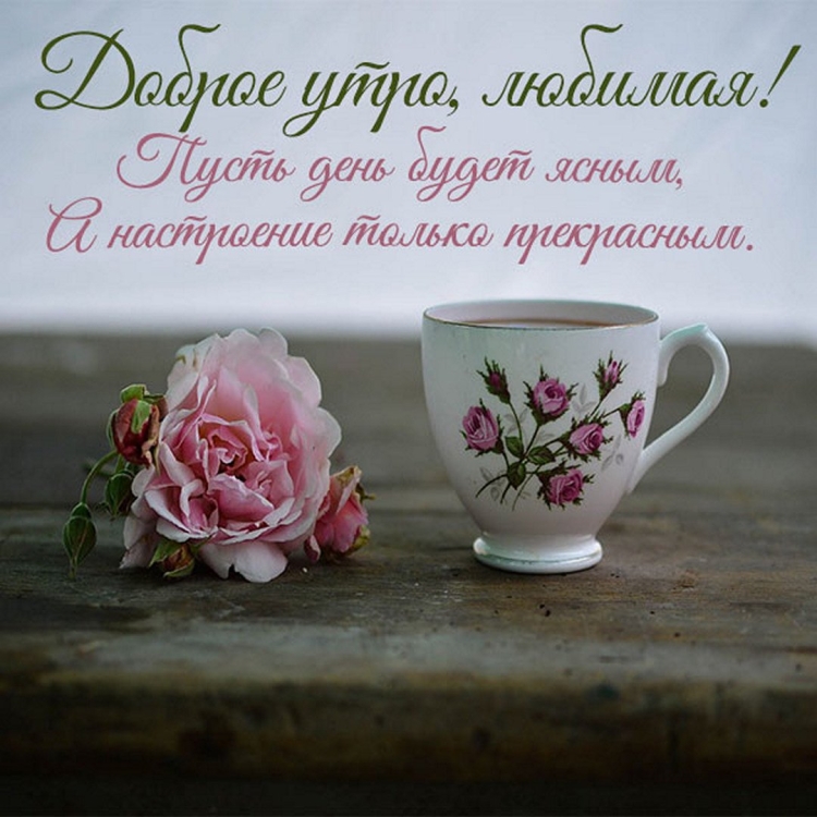 Любимая доброе утро с Кипра слова