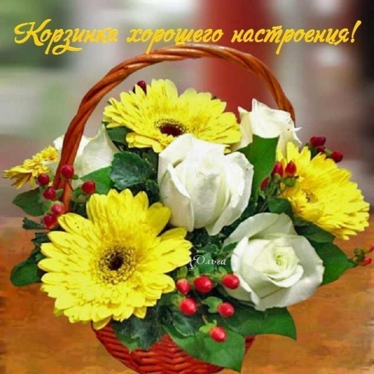 Доброе утро с герберами