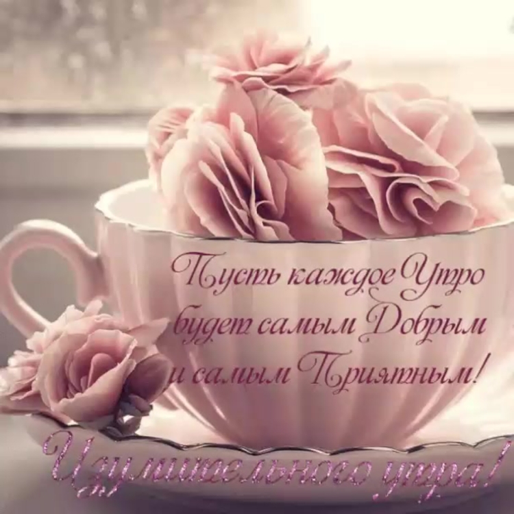 Пожелания с добрым утром нежные и красивые