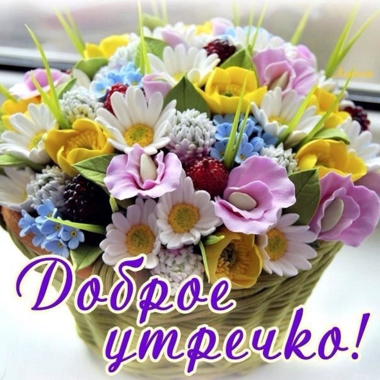 С добрым утром цветы красивые