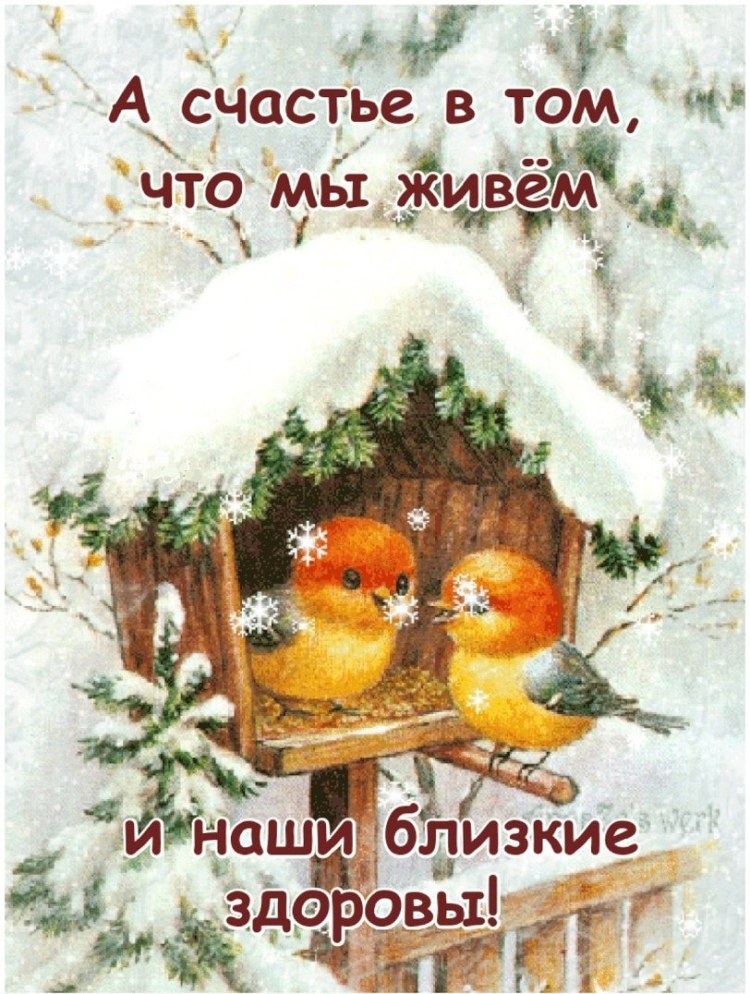 Птицы зимой анимация