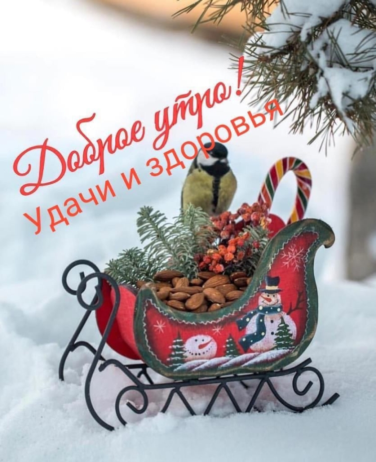 Доброе зимнее предновогоднее утро
