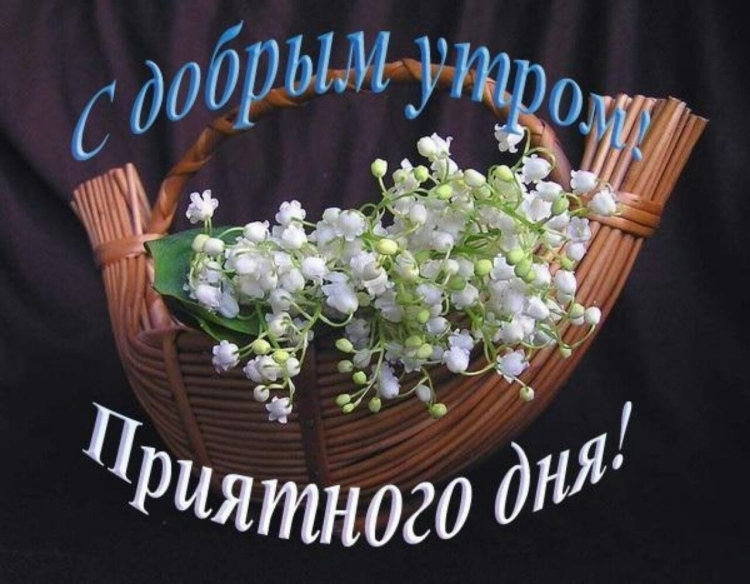 Открытки с добрым утром Людмила