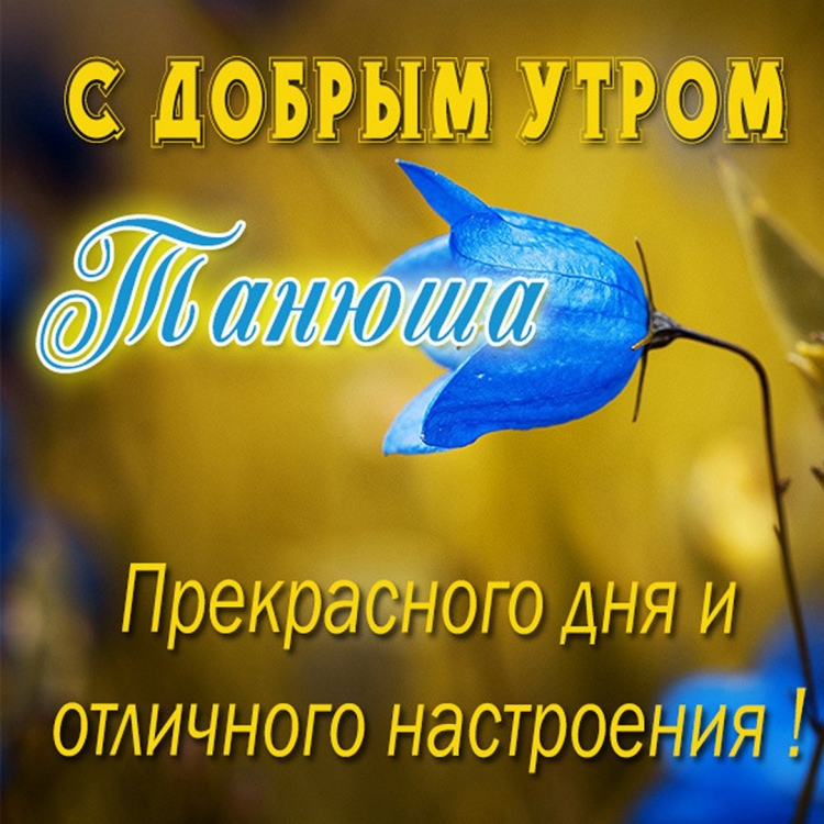 Доброе утро Анечка