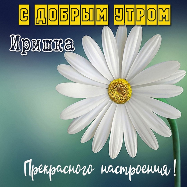 Доброе утро Татьяна