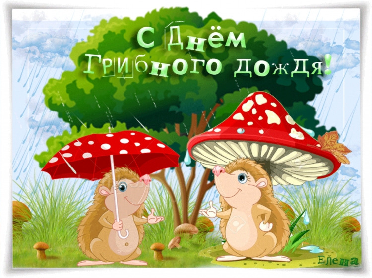 Открытки с днём грибного дождя 6 августа