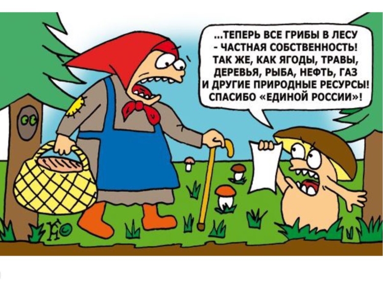 За грибами прикол