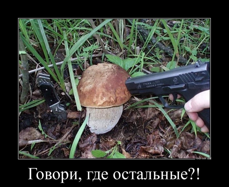 Смешной грибник