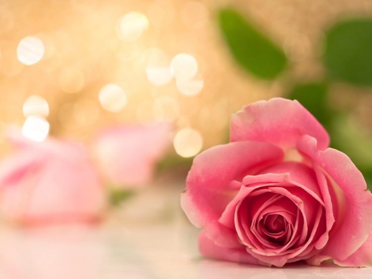 Поздравление с днем рождения Лариса Васильевна