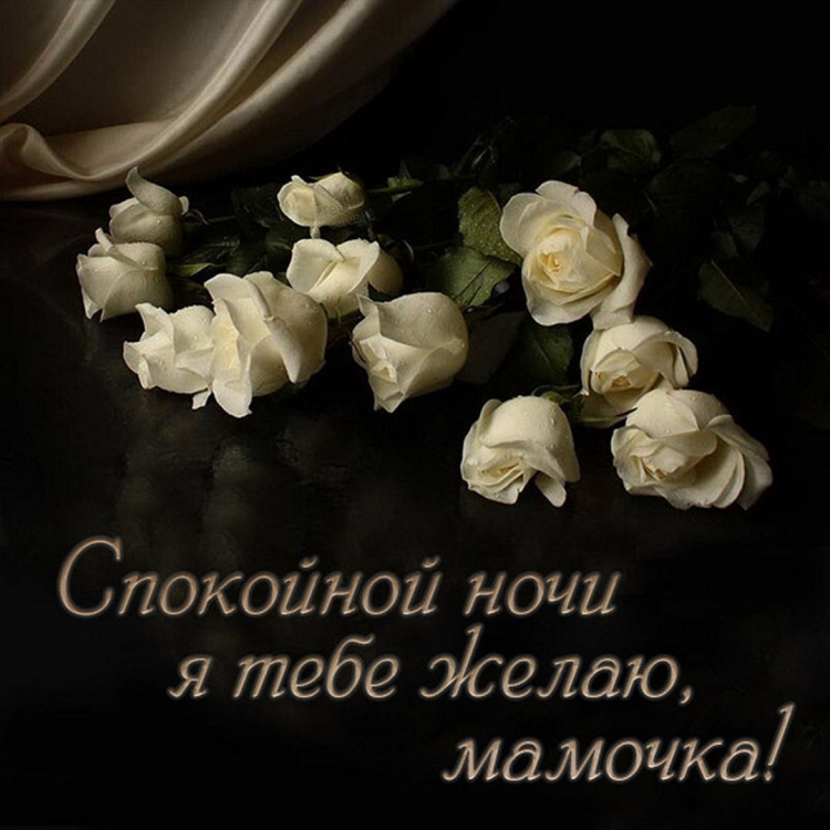 Спокойной ночи с белыми розами