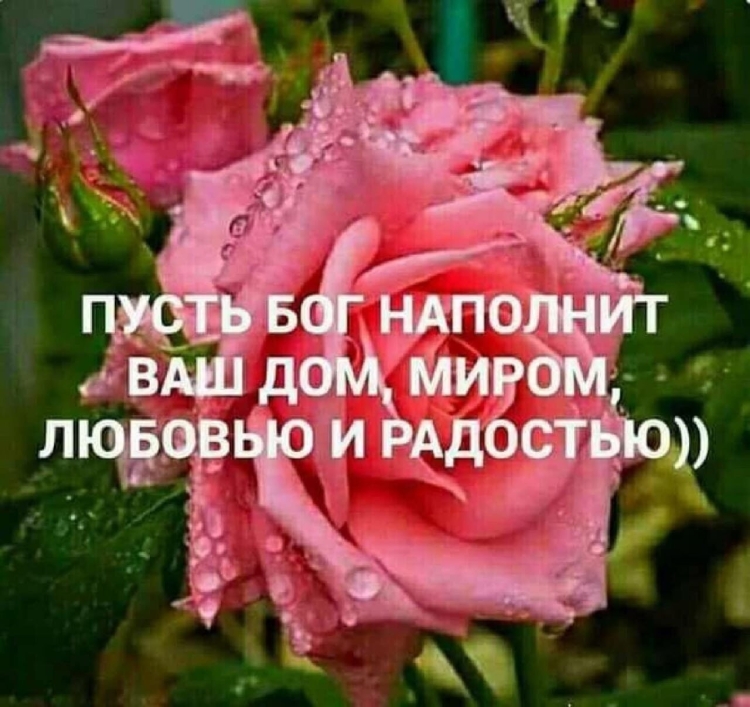 Божьего благословения и мир дому