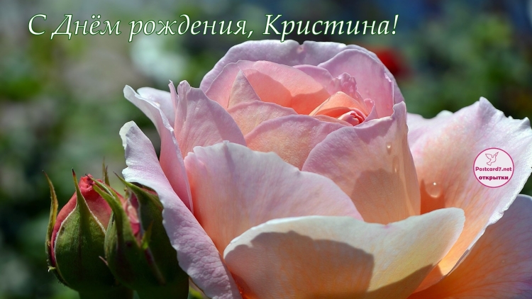 Поздравления с днём рождения Кристине